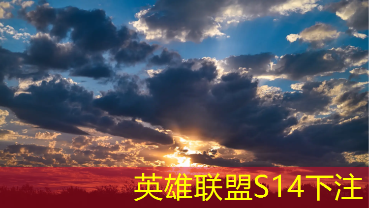 SG胜游：专业电竞游戏芯片设计
